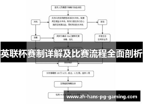 英联杯赛制详解及比赛流程全面剖析